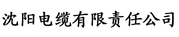 app91香蕉视频电缆厂logo